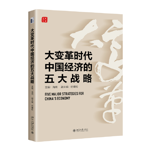 大变革时代中国经济的五大战略 理解中国经济发展之脉络 海闻主编
