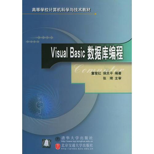 Visual Basic数据库编程