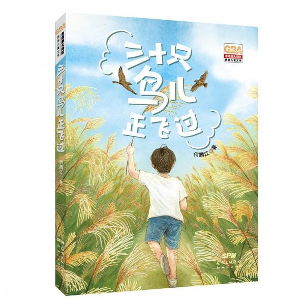三十只鳥(niǎo)兒正飛過(guò)