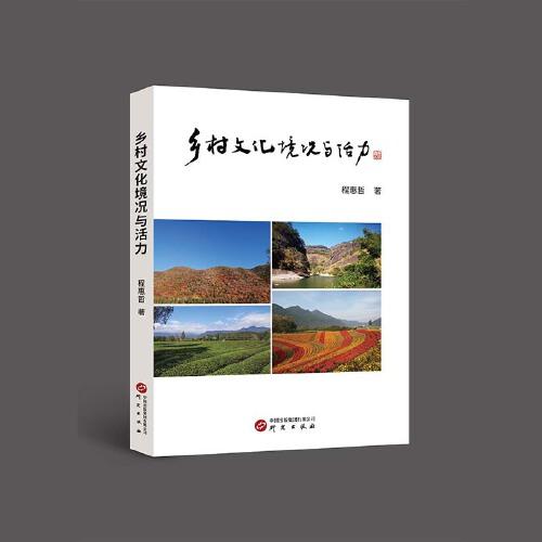 乡村文化境况与活力：服务乡村振兴与文化强国建设 大量调研信息表 适用于专业人员研究参照