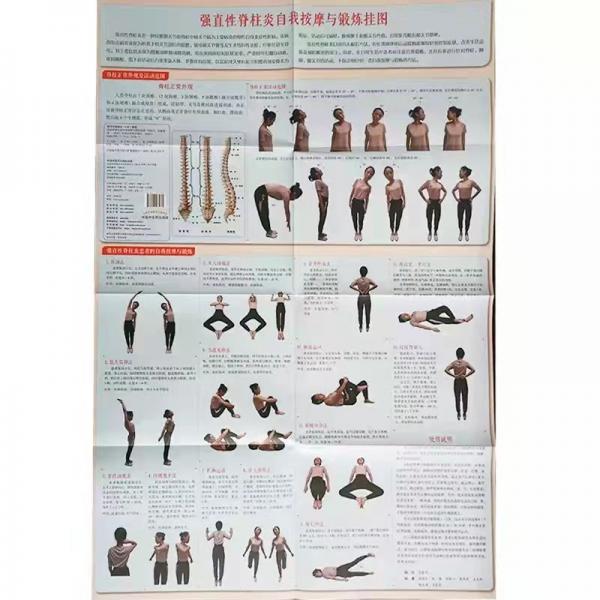 強直性脊柱炎自我按摩與鍛煉掛圖
