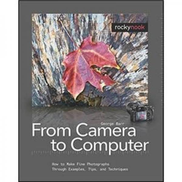 From Camera to Computer: How to Make Fine Photographs Through Examples, Tips, and Techniques