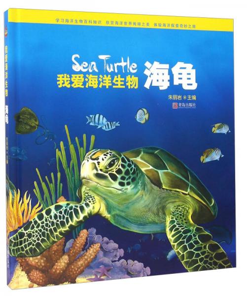 我愛(ài)海洋生物 海龜