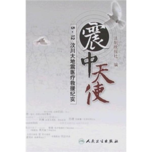 震中天使:5·12汶川大地震醫(yī)療救援紀(jì)實(shí)