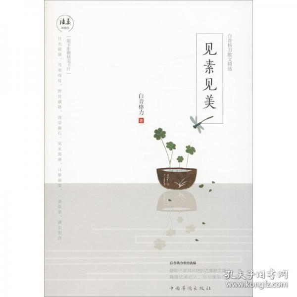 見(jiàn)素見(jiàn)美