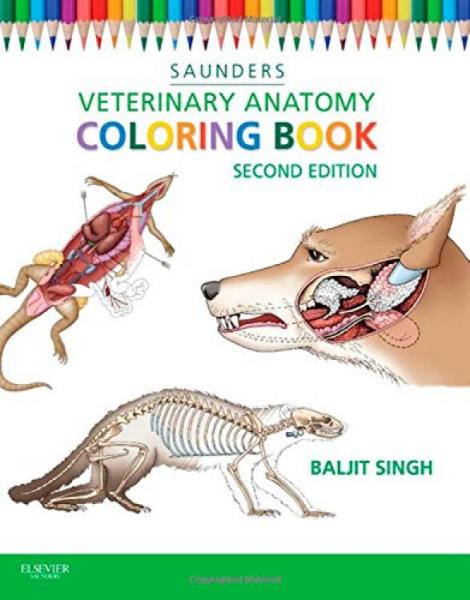 VeterinaryAnatomyColoringBook獸醫(yī)解剖色彩學(xué)書,第2版
