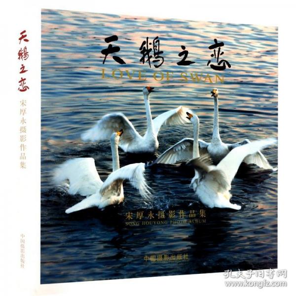 天鵝之戀:宋厚永攝影作品集:Song Houyong photo album