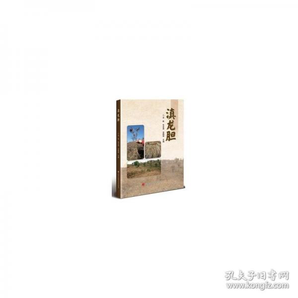 滇龍膽