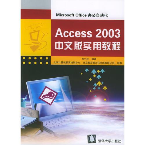 Access 2003中文版实用教程/Microsoft Office办公自动化