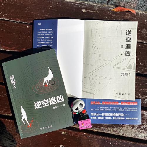 逆空追凶：穿越时间虫洞，横跨平行空间，追捕陈年积案真凶