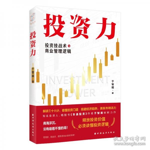 投資力：投資技戰(zhàn)術(shù)與商業(yè)管理邏輯（釋放投資價(jià)值，必須讀懂投資邏輯！解決投資悖論，必須掌握投資技戰(zhàn)術(shù)！）