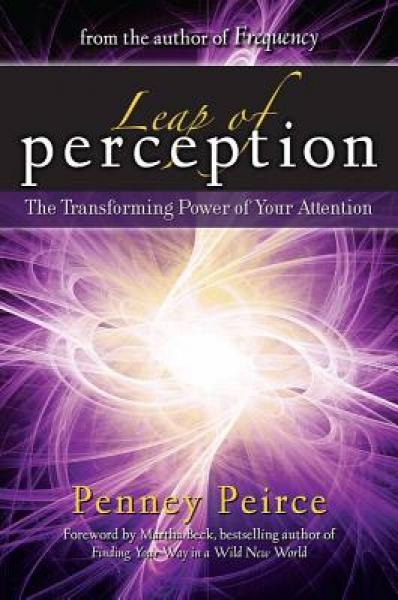 Leap of Perception  The Transforming Power of Yo