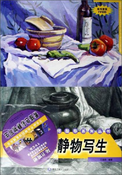 美術(shù)高考名師指導(dǎo)系列叢書：素描色彩靜物寫生