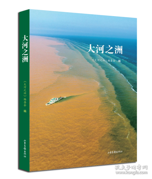 大河之洲