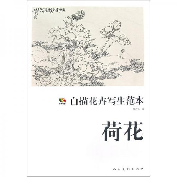 荷花-白描花卉寫生范本