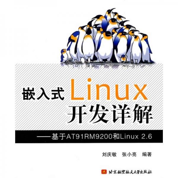 嵌入式Linux开发详解：基于AT91RM9200和Linux2.6