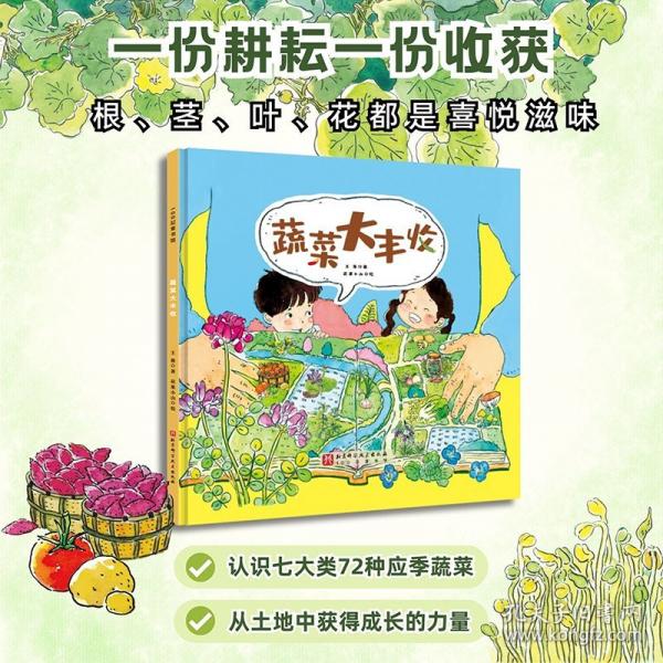 蔬菜大豐收