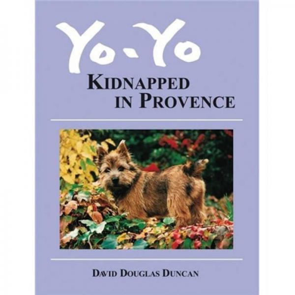 Yo-Yo: Kidnapped in Provence