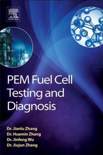PEM Fuel Cell Testing and Diagnosis质子交换膜燃料电池检测与诊断