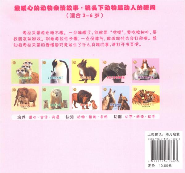 动物亲情故事摄影绘本：考拉贝蒂的慢慢国