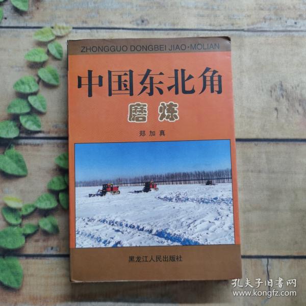 中国东北角 苏醒