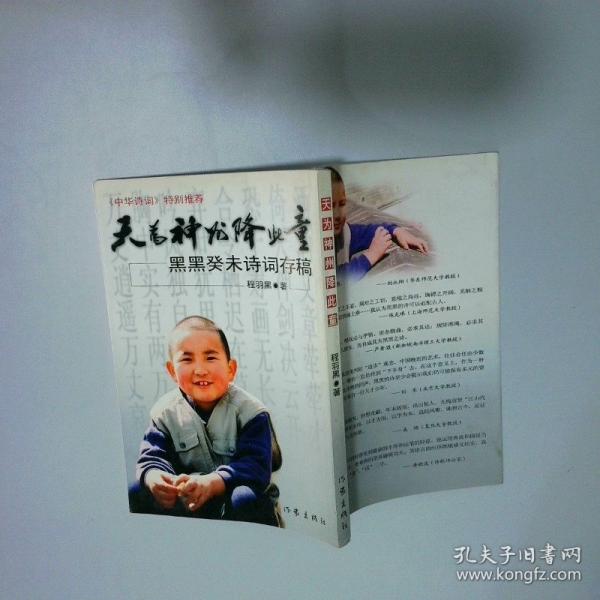 天為神州降此童:黑黑癸未詩詞存稿