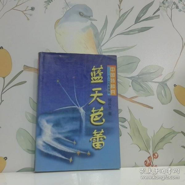藍(lán)天芭蕾