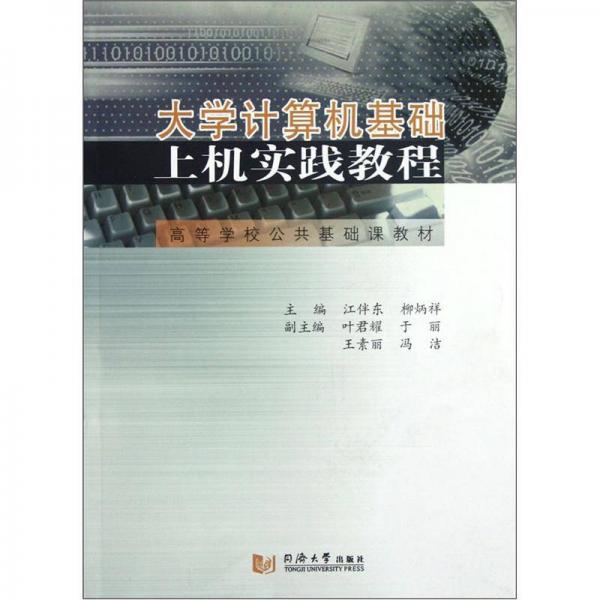 高等學校公共基礎(chǔ)課教材：大學計算機基礎(chǔ)上機實踐教程