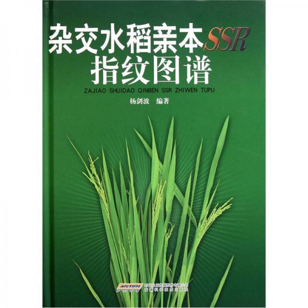 雜交水稻親本SSR指紋圖譜