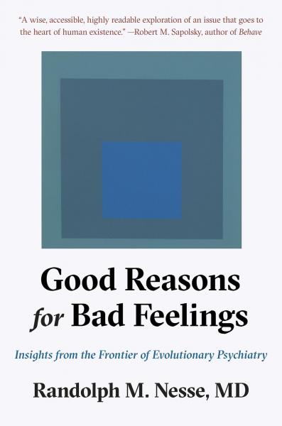 Good Reasons for Bad Feelings