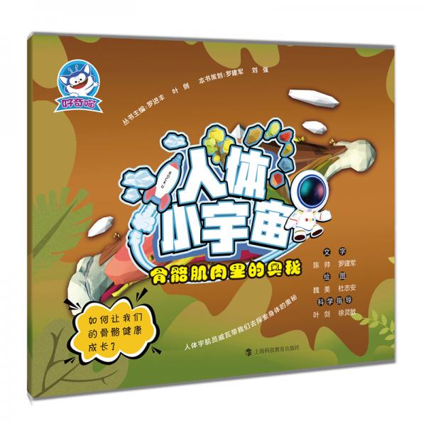 骨骼肌肉里的奧秘