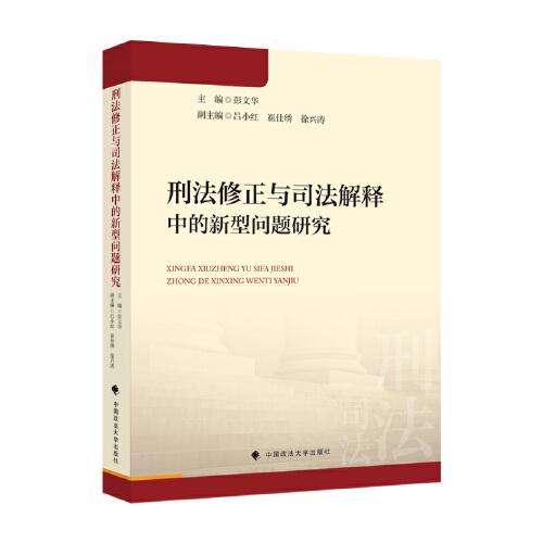 刑法修正与司法解释中的新型问题研究