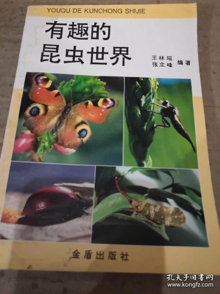 有趣的昆蟲世界