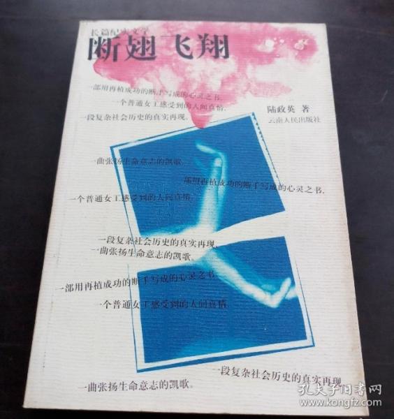 斷翅飛翔:長(zhǎng)篇紀(jì)實(shí)文學(xué)