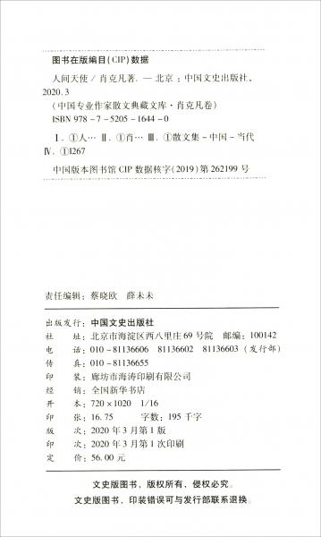 人间天使/中国专业作家小说典藏文库·肖克凡卷