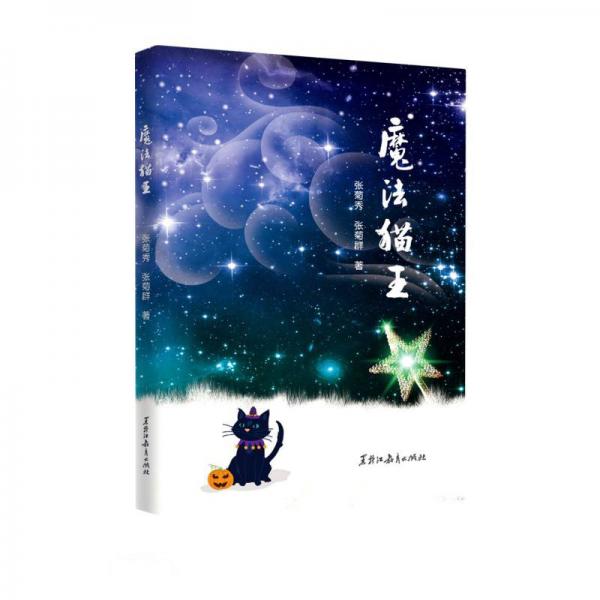 魔法貓王