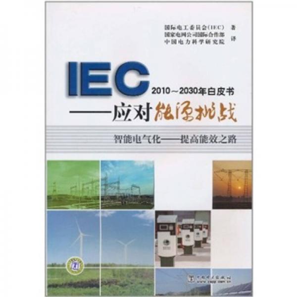 IEC2010~2030年白皮書：應(yīng)對能源挑戰(zhàn)