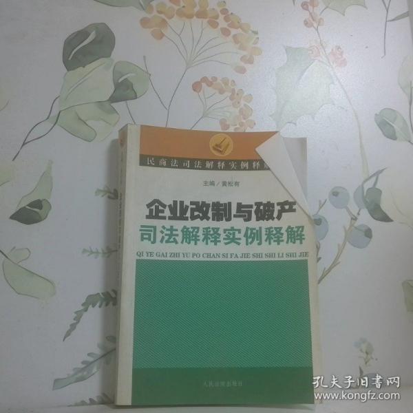企業(yè)改革與破產(chǎn)司法解釋實(shí)例釋解