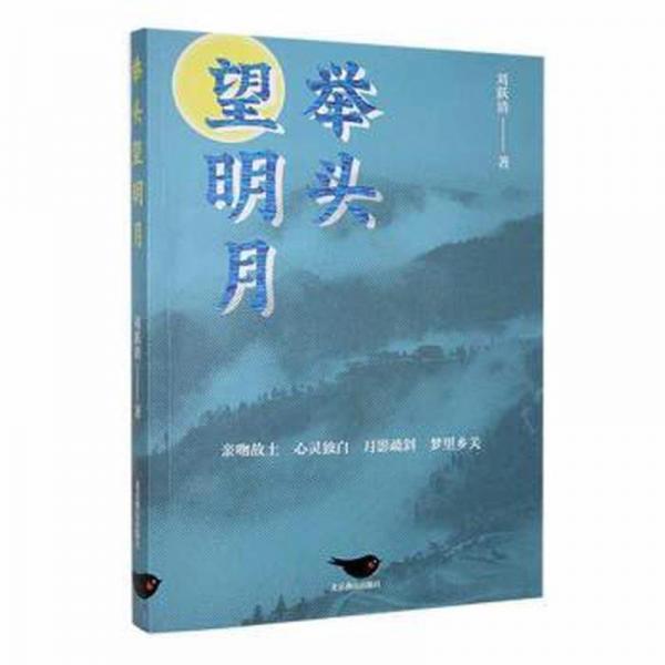 舉頭望明月