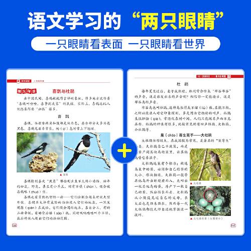 2025春陽光同學博物課堂語文二年級下冊人教版閱讀理解2年級下冊尋寶學習大百科全書閱讀技能提升