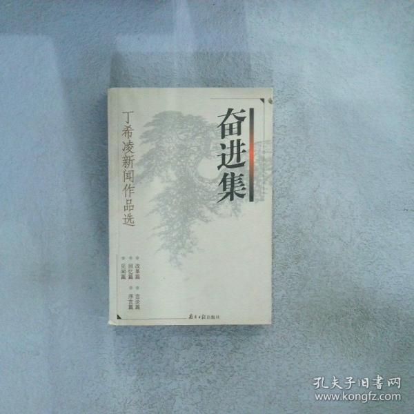奮進集:丁希凌新聞作品選