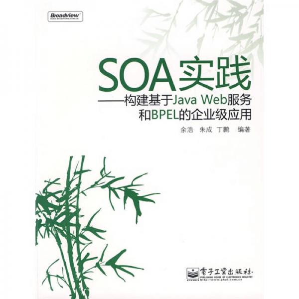 SOA实践：构建基于Java Web服务和BPEL的企业级应用