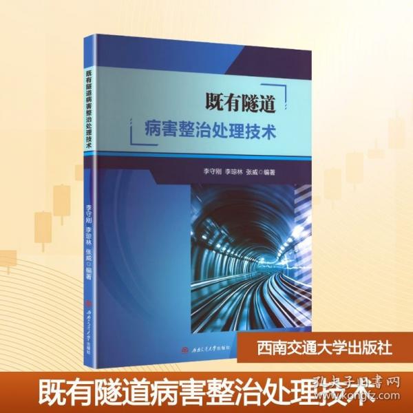 既有隧道病害整治处理技术