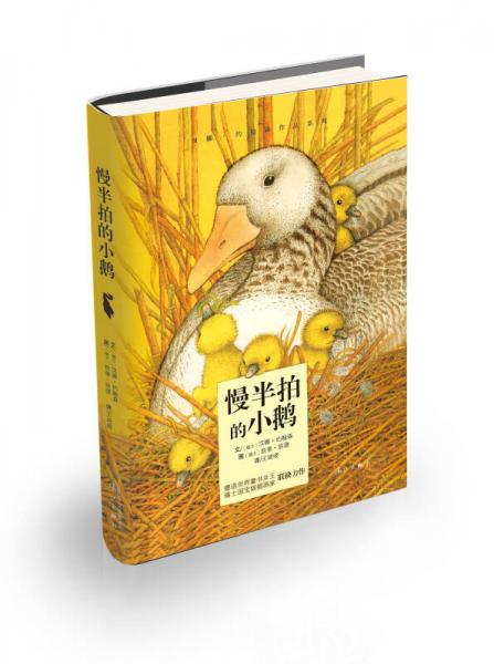 慢半拍的小鵝
