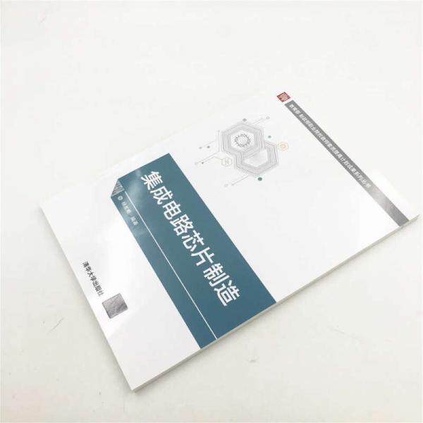 游擊隊(duì)員（非琴俄羅斯文學(xué)經(jīng)典譯文集）