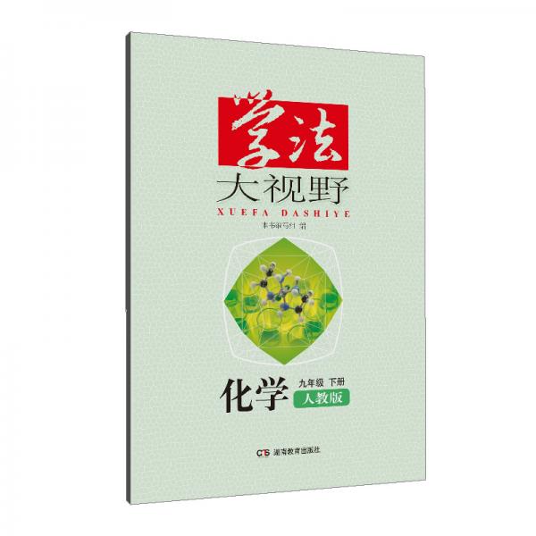 学法大视野·化学九年级下册（人教版）2019版