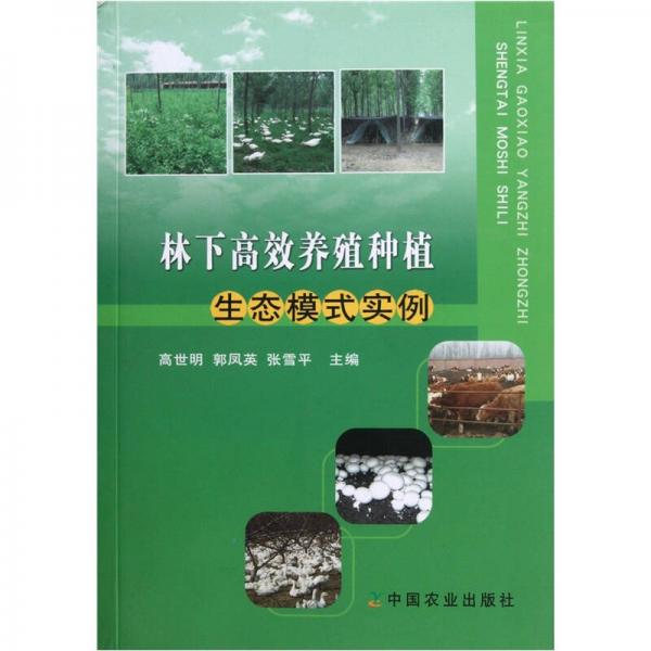 林下高效養(yǎng)殖種植：生態(tài)模式實(shí)例