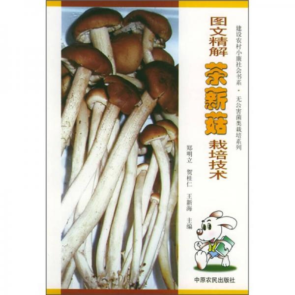 圖文精解茶薪菇栽培技術(shù)
