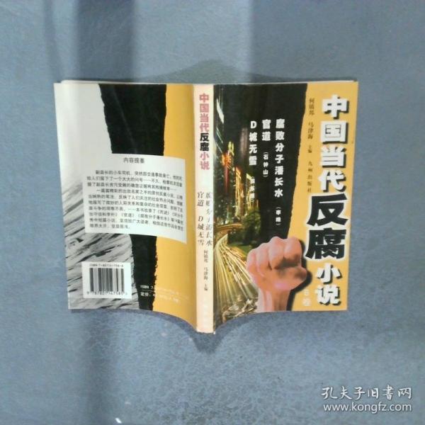 中国当代反腐小说