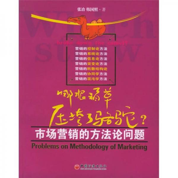 哪根稻草壓垮了駱駝：市場營銷的方法論問題